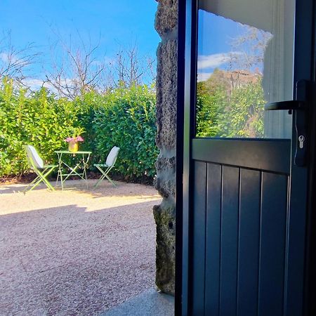 Agroturismo Quinta De Travancela Amarante Eksteriør billede