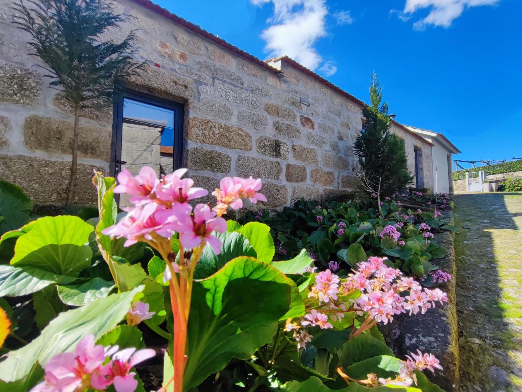 Agroturismo Quinta De Travancela Amarante Eksteriør billede