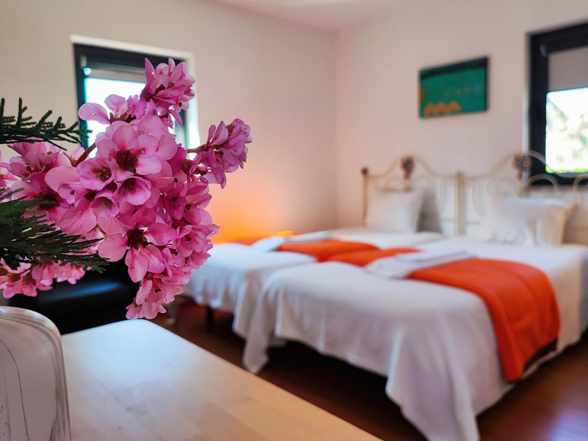 Agroturismo Quinta De Travancela Amarante Eksteriør billede