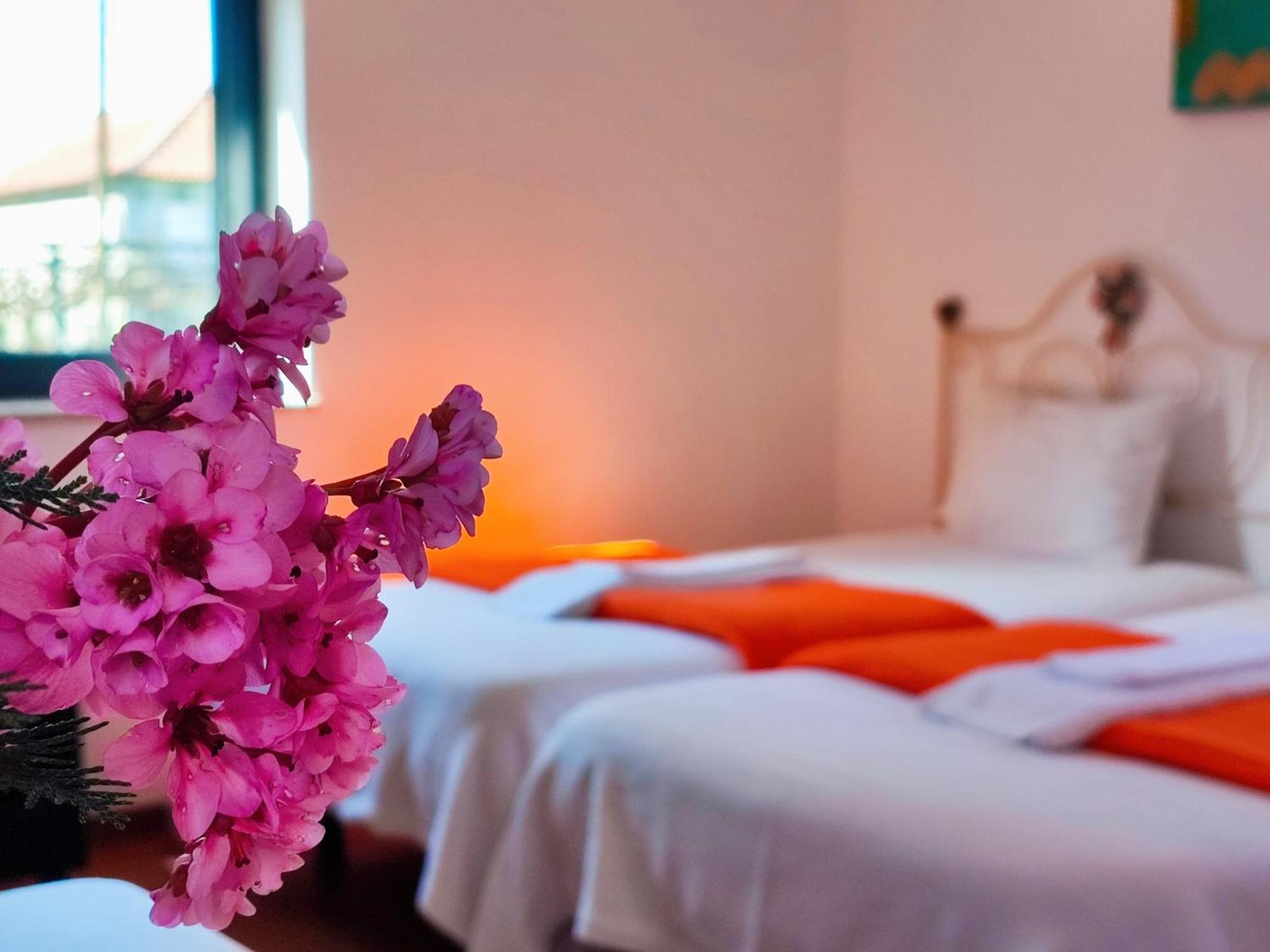 Agroturismo Quinta De Travancela Amarante Eksteriør billede