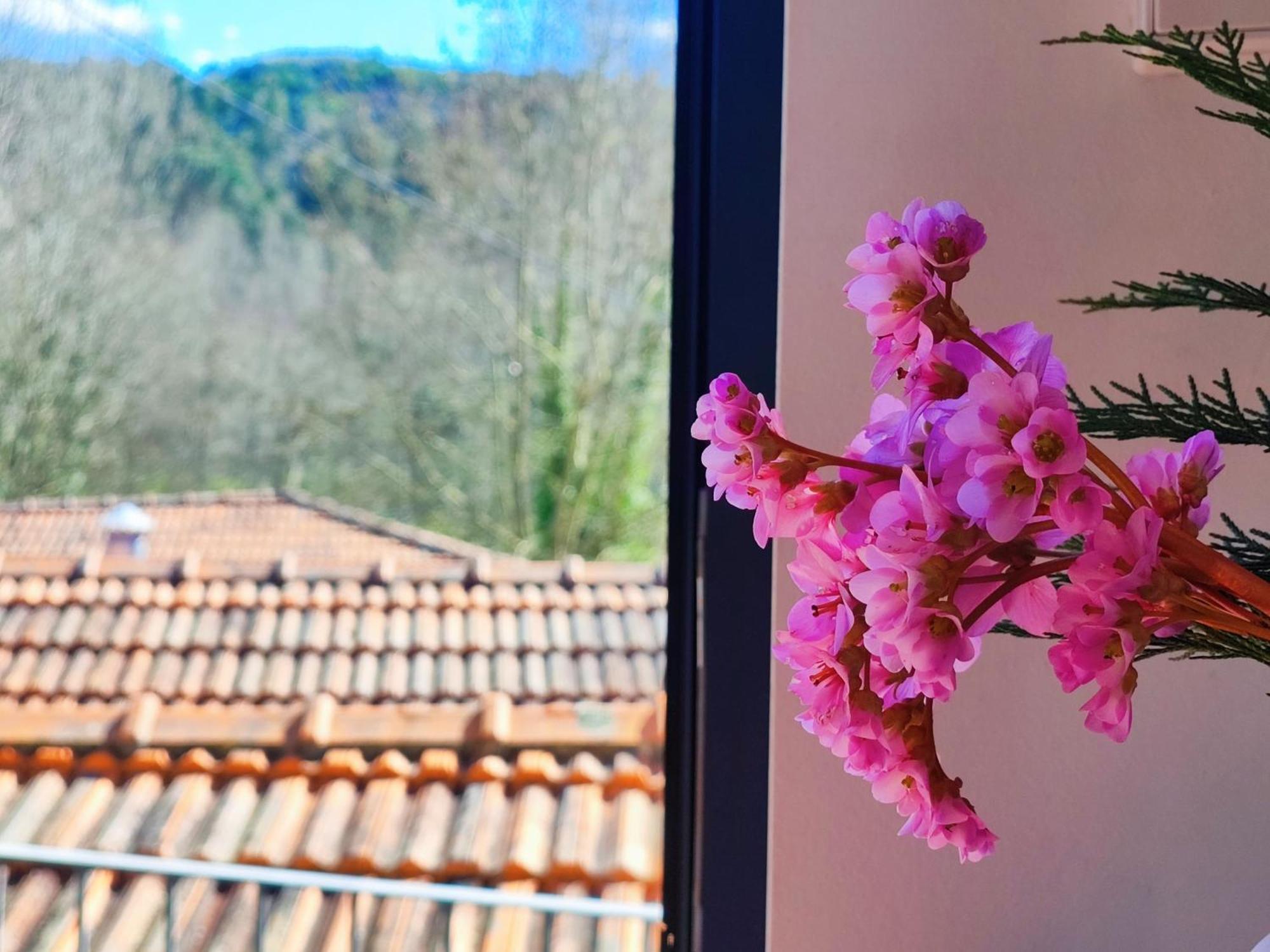 Agroturismo Quinta De Travancela Amarante Eksteriør billede