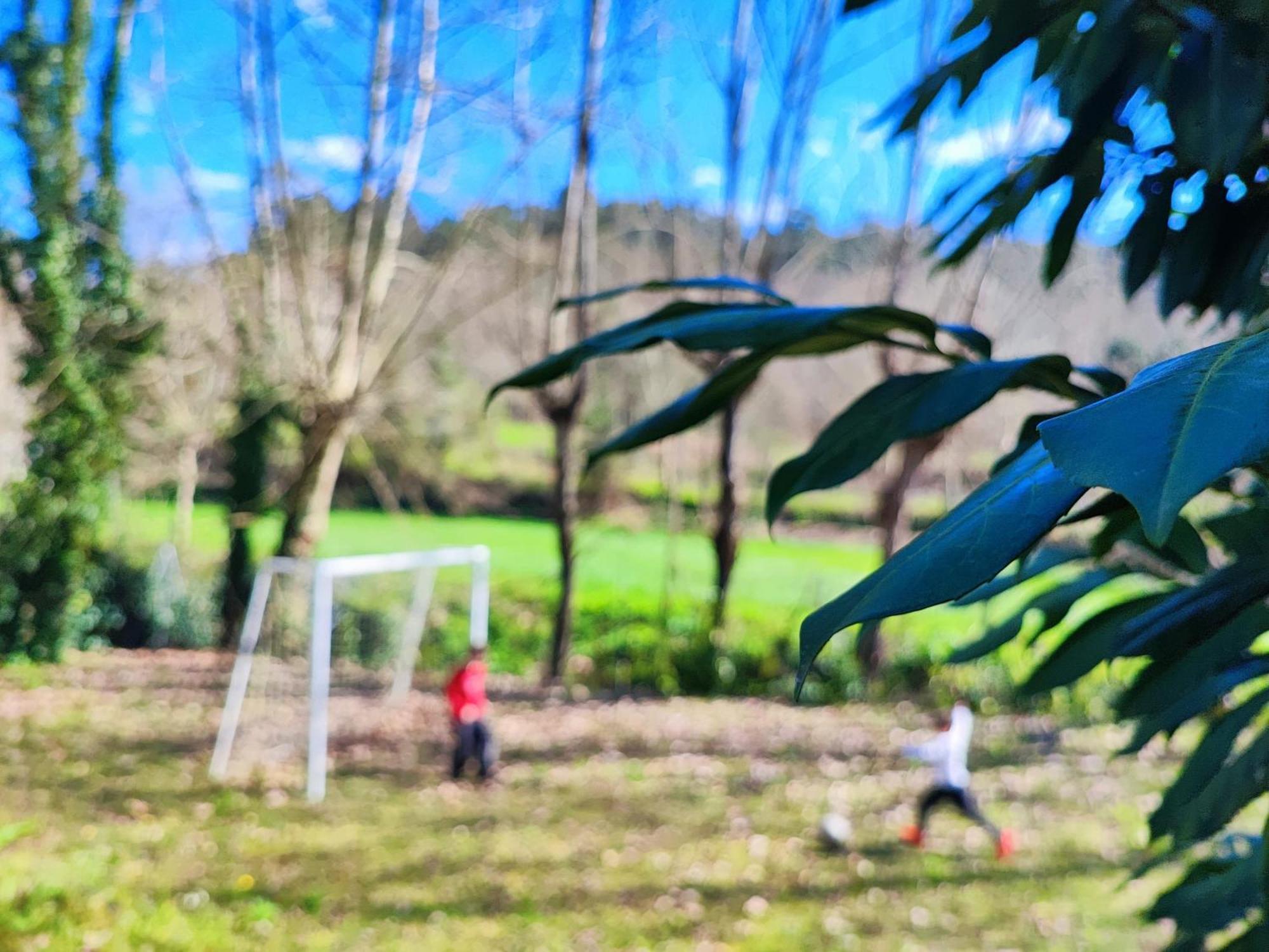 Agroturismo Quinta De Travancela Amarante Eksteriør billede
