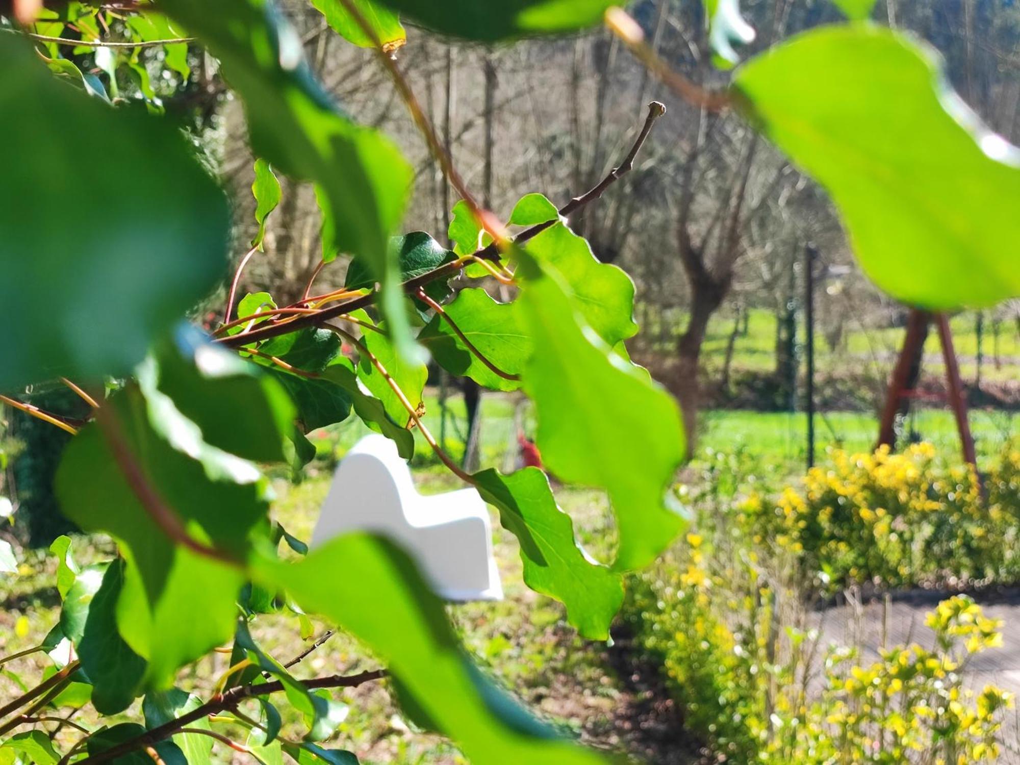 Agroturismo Quinta De Travancela Amarante Eksteriør billede